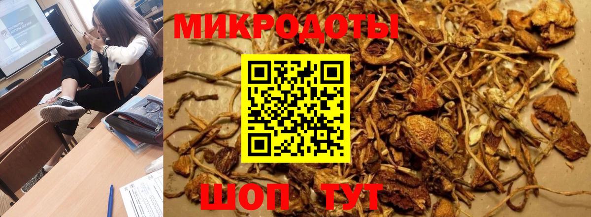 Галлюциногенные грибы GOLDEN TEACHER  Галлюциногенные грибы Psilocybine cubensis  Вход с VPN  Спасск-Дальний 